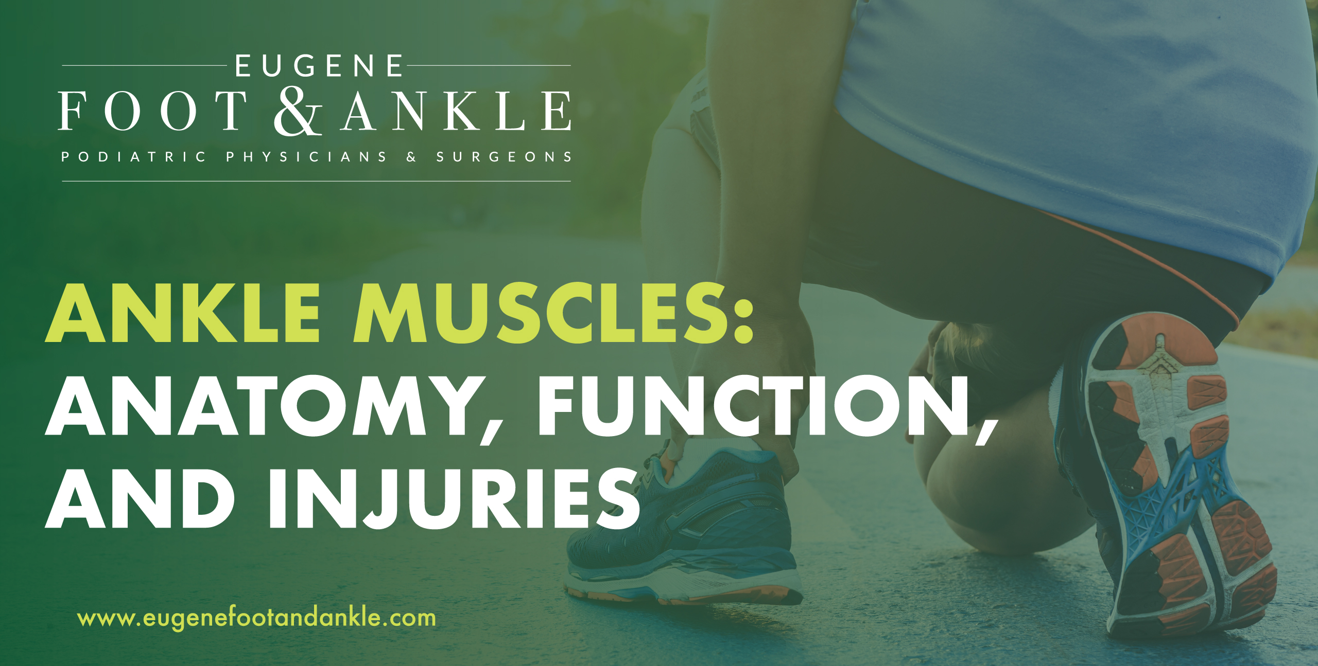 ankle muscles